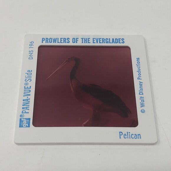Vintage Walt Disney World Powers of the Everglades Epcot Center Pana-Vue Slides - Picture 3 of 7